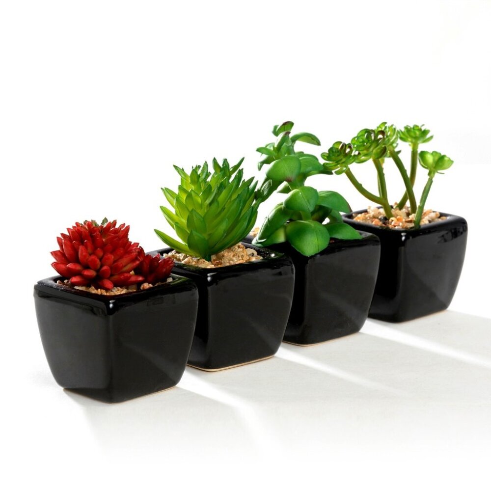 Set of 4 Different Mini Artificial Succulent Plants Potted in White or Black Cub